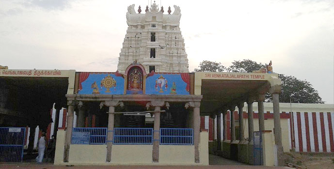 Sri Krishnapuram Temple in Kanyakumari Tamil Nadu